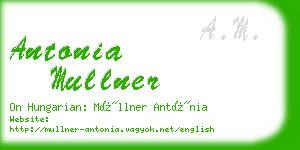 antonia mullner business card